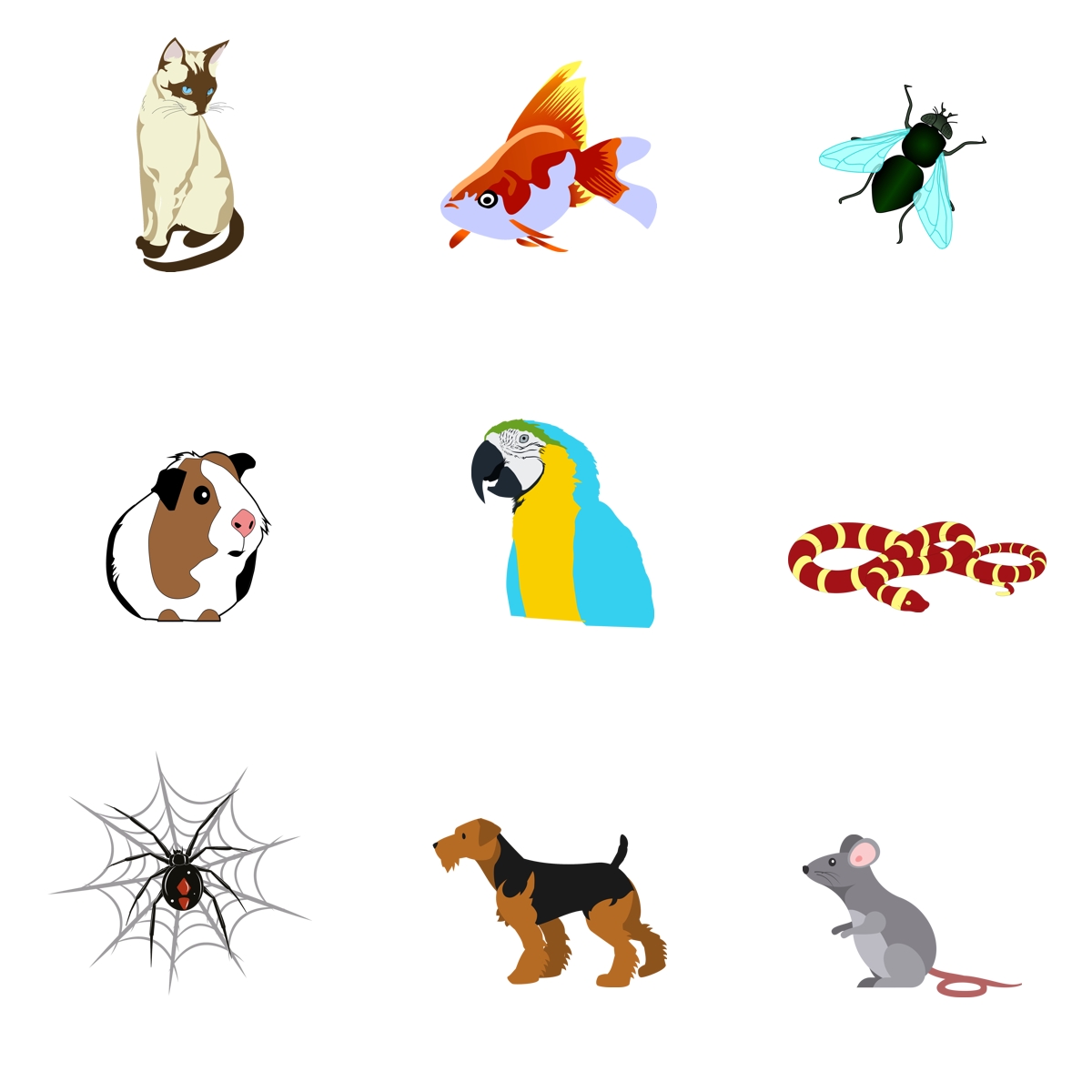 quiz animals #2